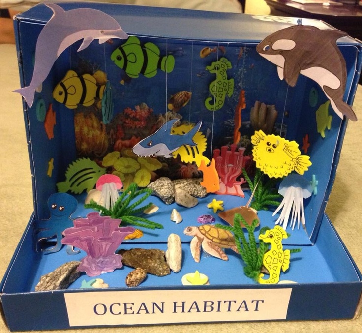 Animal Habitat Diorama (SHOEBOXES NEEDED) - Mrs. Wengel's Classroom
